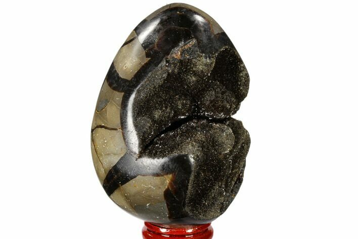 Septarian Dragon Egg Geode - Black Crystals #118761
